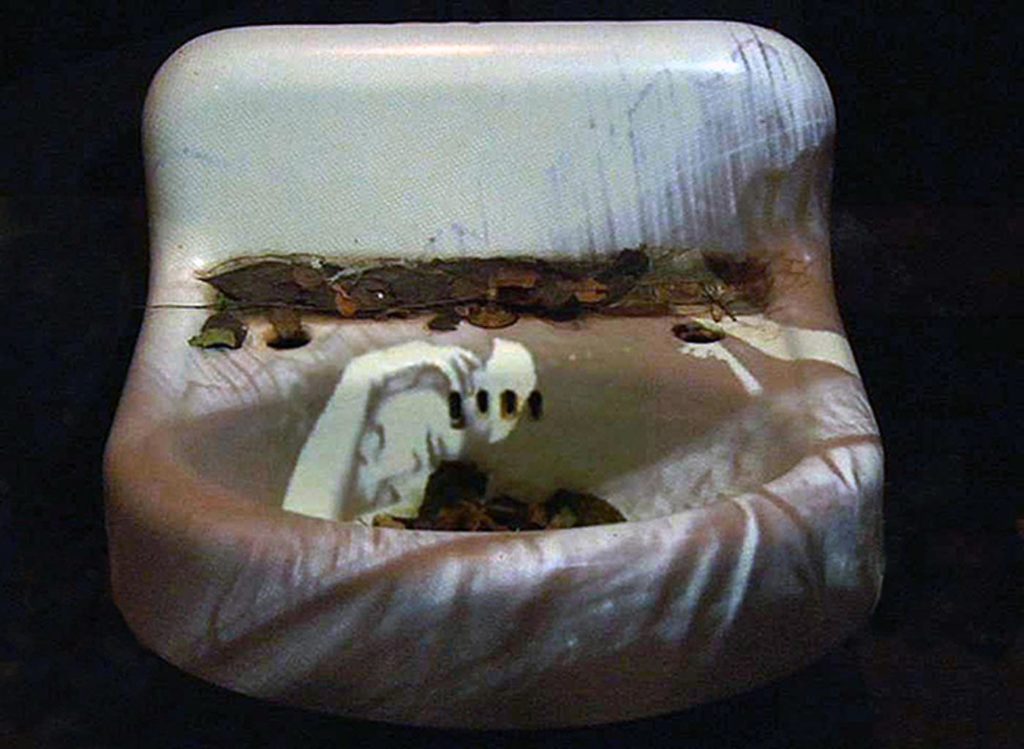 Image from Maya Deren's Sink - a film by Barbara Hammer