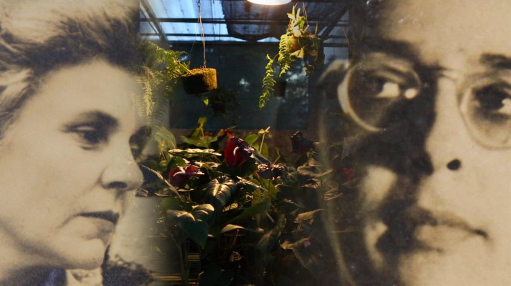 Image from Welcome to thei House - film by Barbara Hammer